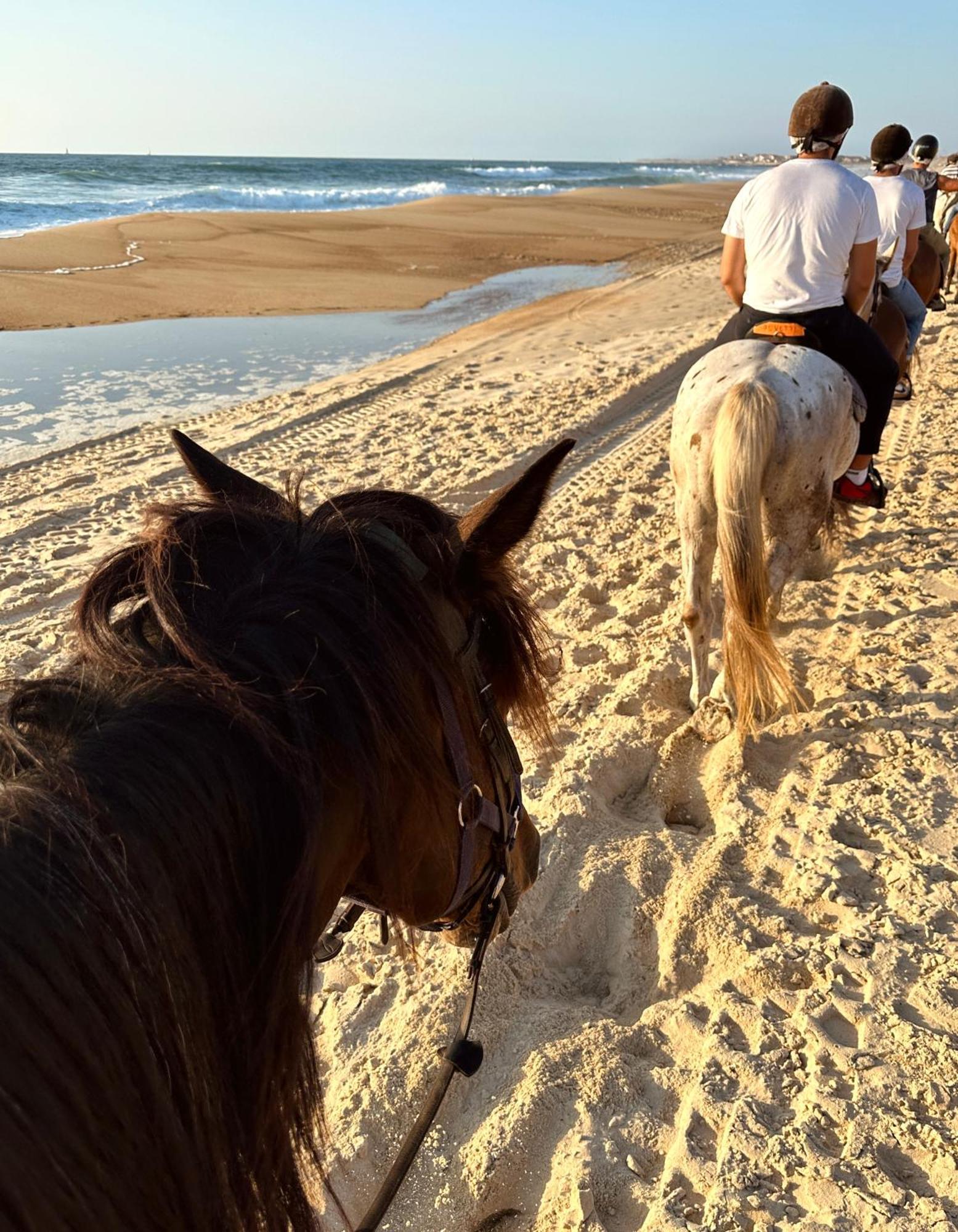 Aparra Surfcamp Capbreton Hotell Exteriör bild