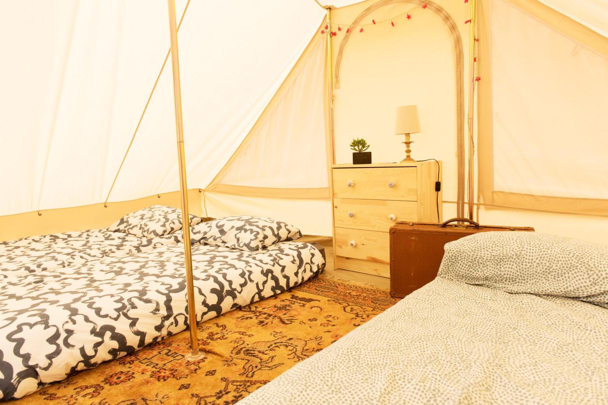 Aparra Surfcamp Capbreton Hotell Exteriör bild